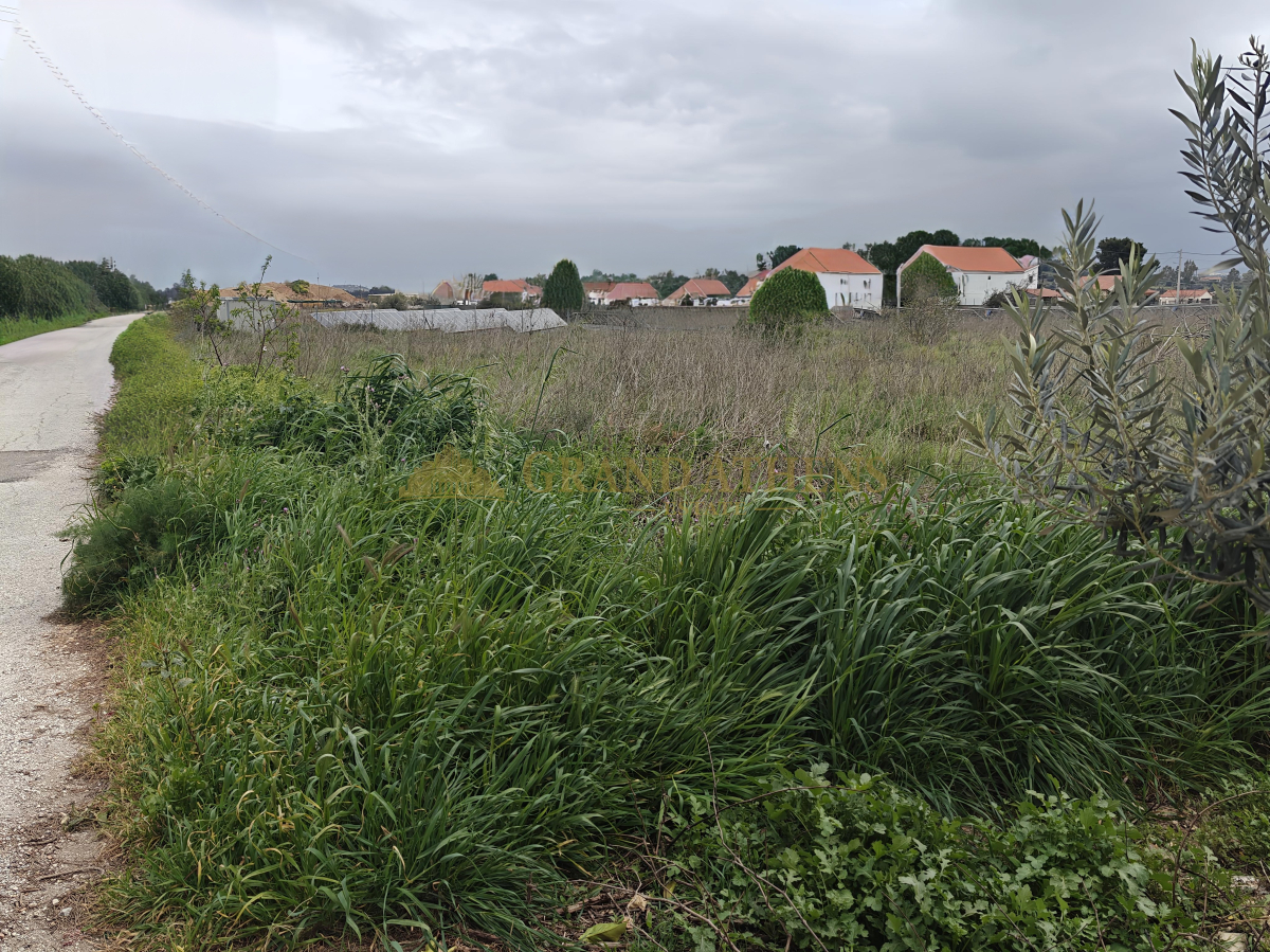 property-img