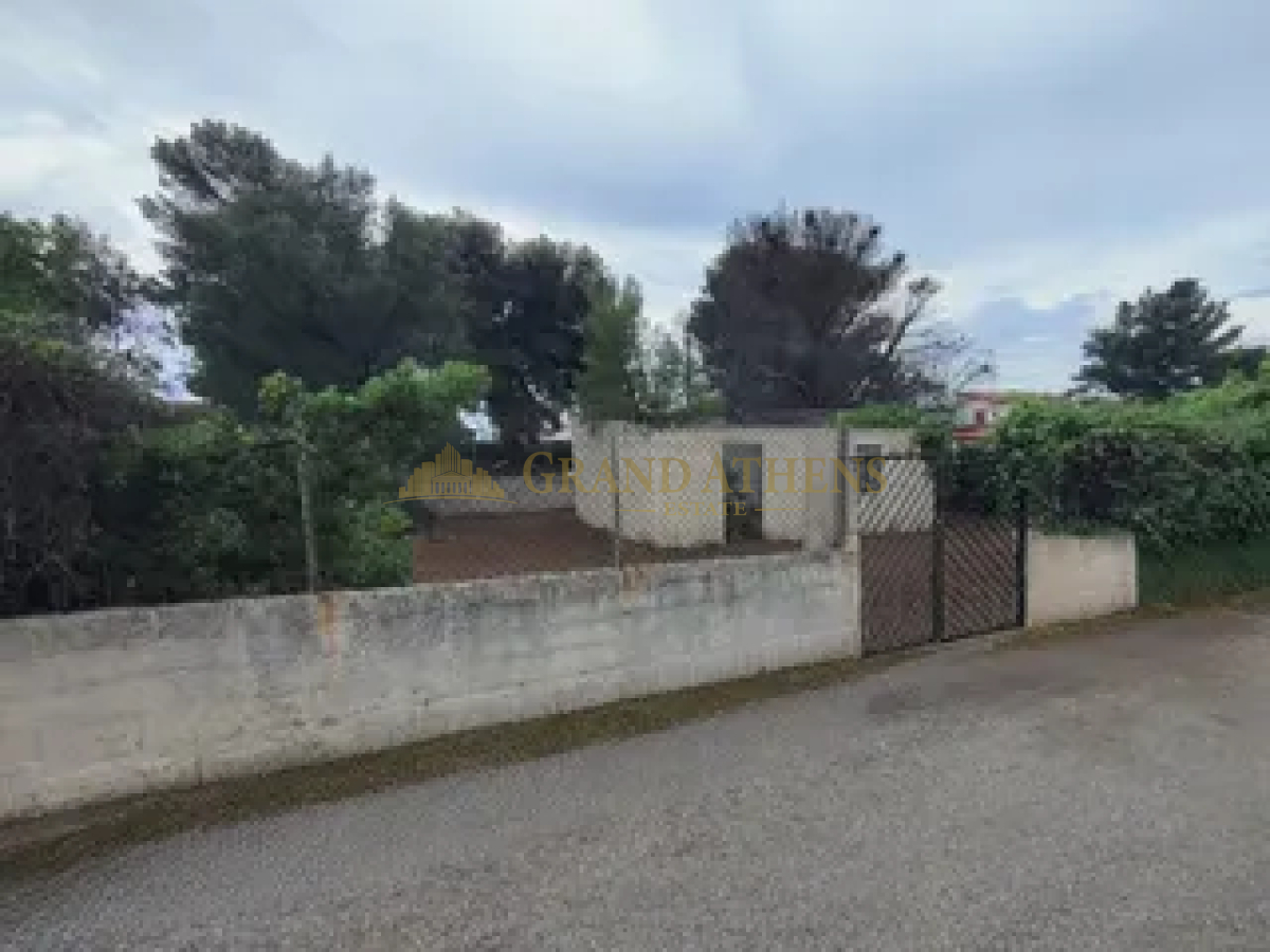 property-img